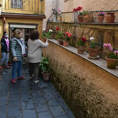 El Peralon De Leon *