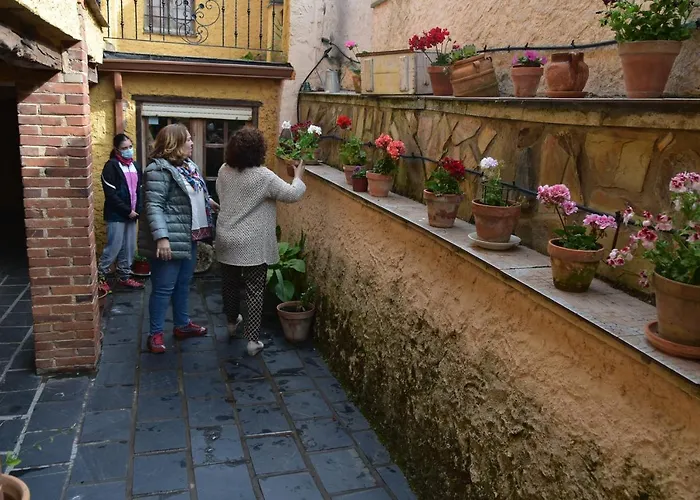 El Peralon De Leon *